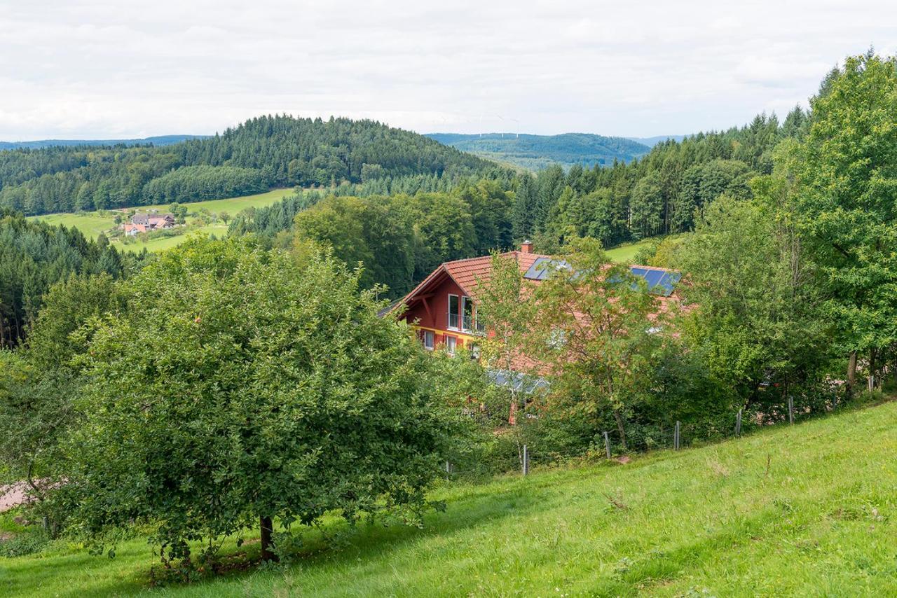 Ferienwohnung Jolly Joker Freiamt Exteriör bild